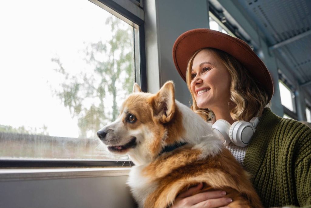 The Complete Guide To Travelling With Your Pets